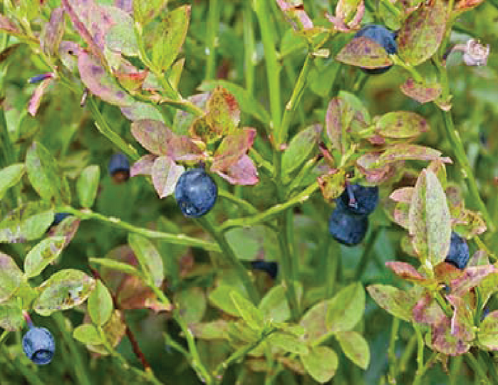 Screen Shot 2019-04-11 at 15.39.21