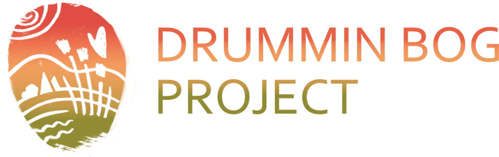 drummin bog logo