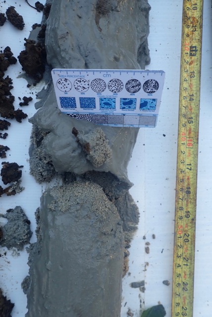 Preliminary Core Window sampling – Drummin Bog Project