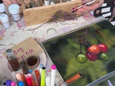 Gnáthóga Nádúrtha | Natural Habitats Drummin Bog Walk, Talks and Activities Afternoon: Sunday 12 Nov. All Welcome!