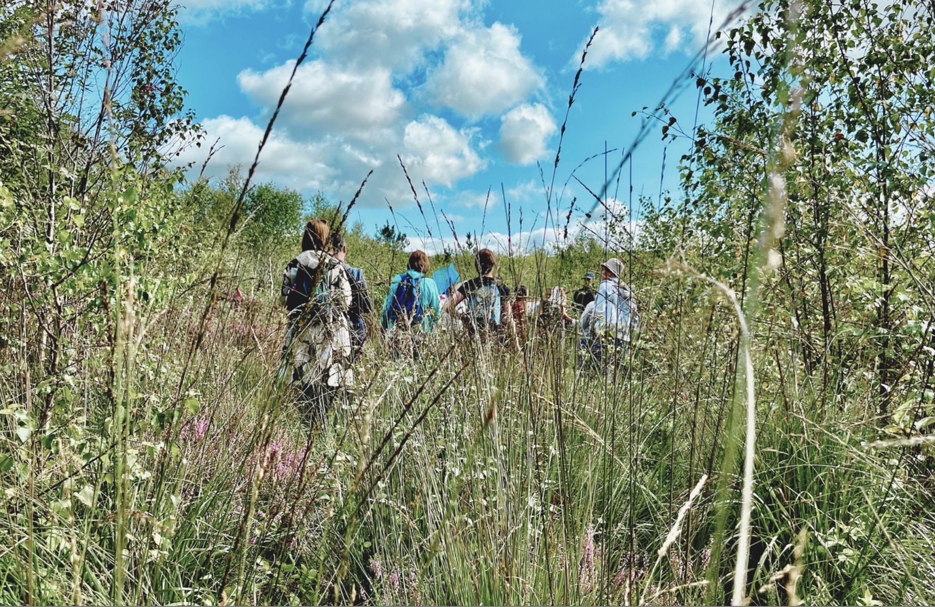 Image of people learning on Carlow's Drummin Bog